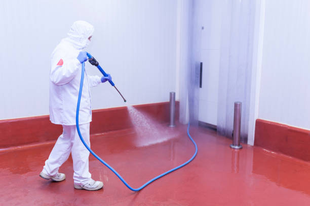 Best Building Exterior Washing  in Gosnell, AR